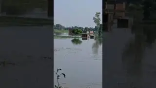 narwoal manak