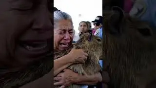la rata, el capibara #