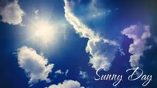 Jfm404 - Sunny Day