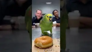 Who Ate the Evidence? 😆 | Talking Parrot&rsquo;s Police Interrogation Goes Hilariously Wrong!