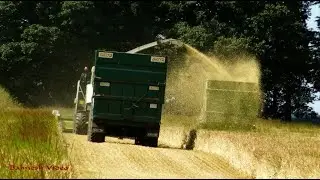 Whole Crop Wheat Silage with Claas, Deutz, Valtra and New Holland.