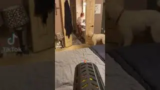 Nerf War: Husband Wife Episode Trailer
