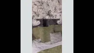 71 Inch Matte Black Spindle Headboard