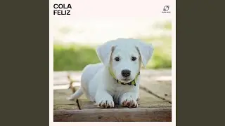 Música Reiki para Mascotas