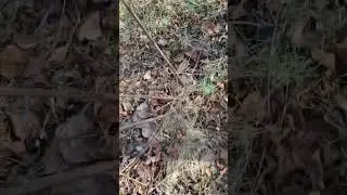 Exploring Pt.2