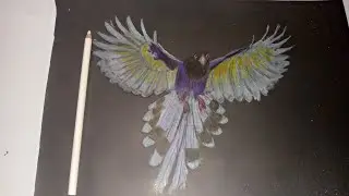 how to draw a flying bird on a black paper.