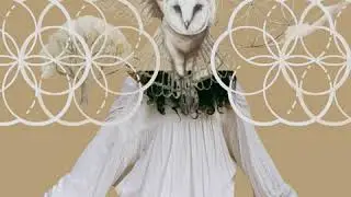 Guided Meditation: Seeing the Unseen Through Owl Medicine
