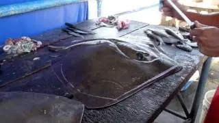 Raya o Mantarraya gran alimento pescado sin espinas