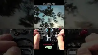 Pine tree dance / FPV stickcam #fpvfreestyle
