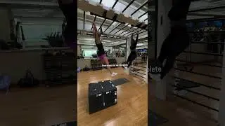 Chest Workout With Doumbles Bench Press Tricep Workout Chest Workout LegWorkout Bicep Workout Sport