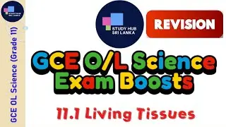 Living Tissues (Revisions) | GCE OL - Grade 11 Science #gceol #gceolevel #විද්යාව #shortnotes