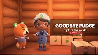 How I recovered my original villager after letting them  go? #acnh #pudge