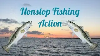 Catching trout, redfish, and a dolphin?!?!?! (Fishing out of Seadrift in San Antonio Bay)