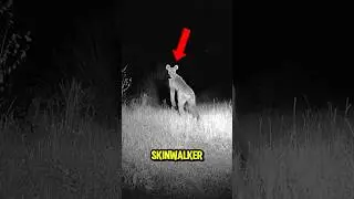 TOP 4 VIRAL Skinwalker Animals😱😨