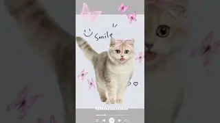 Улыбайтесь и пойте, пришло время APT🎶#catsinging #singingcat #aptcat #viralcats #apt #billi #kucing