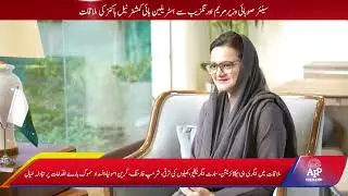 Austrian High Commissioner Neil Hawkins meets Senior Provincial Minister Marriyum Aurangzeb | APP
