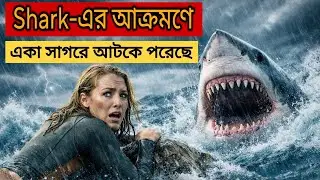 হাঙরের সাথে একা সমুদ্রে আটকে পড়া 😱 | The Shallows Bangla Explanation | Survival Horror