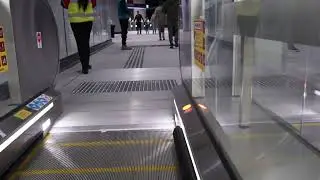 State Library Tour 18/10/25