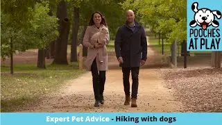 Hiking with dogs - Dog Friendly Travel Advice and Expert Tips | S5 Ep1 | Pooches at Play