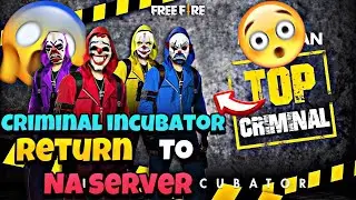 CRIMINAL INCUBATOR RETURN || CRIMINAL BUNDLES RETURN TO NA SERVER 😱😱
