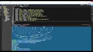 How to install Node Packages? NPM install