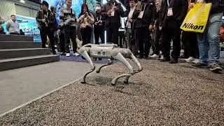 Quadruped Robot by Unitree Robotics