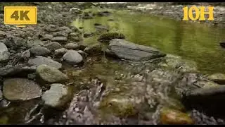 10 Hours Flowing Stream 🌊 Calm Water Ambience | Peaceful Background Sounds #relaxing #10hours #sleep
