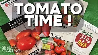 TOMATO seed starting time PA 6b-7a backyard gardening