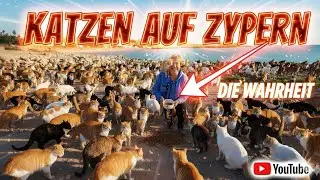 Cyprus &ndash; Island of Cats and its Secrets