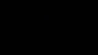 NES Back to the Future III ending