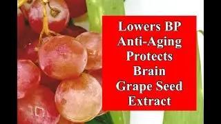 Lowers BP, Anti-Aging, Protects The Brain - Grape Seed Extract