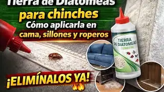 Tierra de Diatomeas para chinches: C&oacute;mo aplicarla en cama, sillones y roperos
