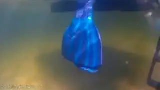 My Mermaid Tail Collection