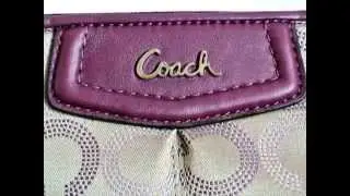 COACH Ashley Dotted Op Art Large Wristlet F48053