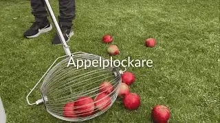 &Auml;ppelplockare Classic &ndash; Plocka fallfrukt utan att b&ouml;ja dig