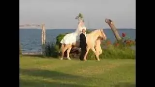 Wedding with Sherwood the Horse