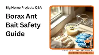 Borax Spoon Bait Safety Tips For Indoor Ants