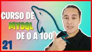 Procedimientos almacenados en MySQL Workbench(Curso de MySQL desde cero [21])🐬