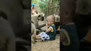 Funny children and monkey 🐒 love. #monkey #child #youtubeshorts #shorts
