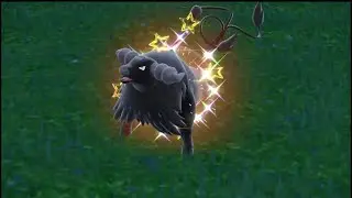 Shiny Aqua Breed Paldean Tauros!!! In Pokemon Violet