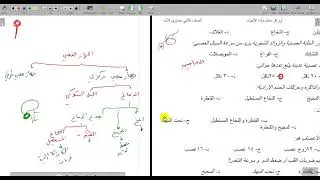 حل اسئلة الفصل الخامس الجهاز العصبي احياء 2 مقررات الصف الثاني الثانوي منهج سعودي