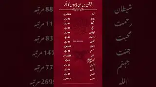 important word mentioned in The Holy Quran |Islamic facts #didyouknow