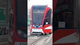 Трамвай 100! #спб #богатырьм #транспорт #tram #automobile #Горэлектротранс #Питер #трамвай #лучший