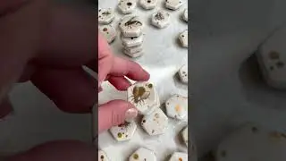 Bee magnet #asmr