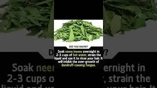 #neem leaves#shorts#viral#shorts#viral