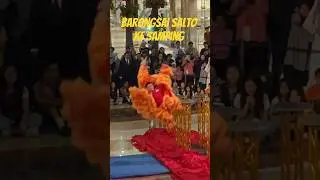 BARONGSAI SALTO ke samping #walkingaround #barongsai #jakarta #pondokindahmall ❗