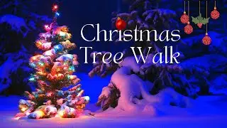 Christmas Tree Walk| 30 Minute Virtual Walk | Walking Music Service