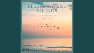 Sleepy Bird Sounds