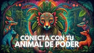 Poderosa Música Chamánica para Conectar con tu Animal Totem I 852 Hz y Ondas Theta