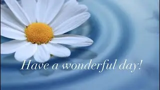 🌸Have a wonderful day! 🌸Messages/quotes/greetings #haveagoodday #haveabeautifulday #enjoyyourday